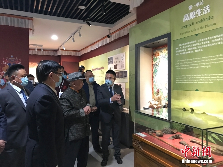 图为展览现场。 <a target='_blank'  data-cke-saved-href='/' href='/'>中新社</a>发 陈建新 摄